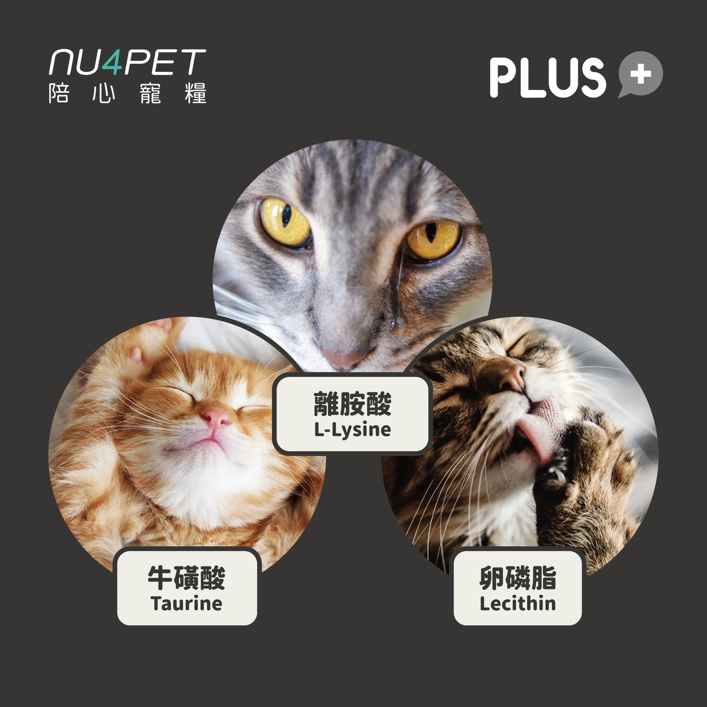 陪心寵糧| 機能PLUS - 貓三寶
