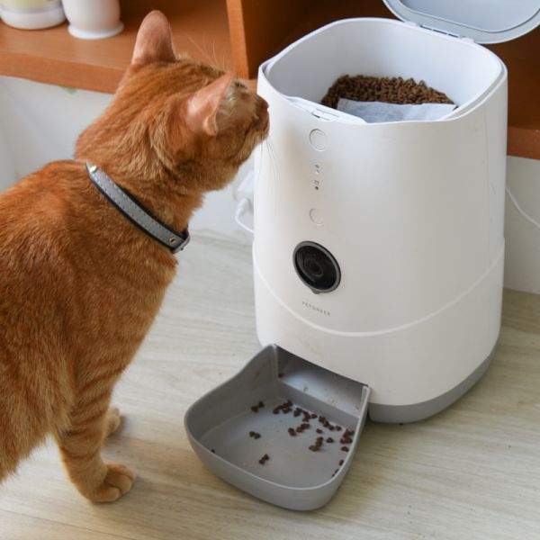 ParkCat貓樂園 【飼料保鮮】神奇新鮮好喵招(貓樂園獨家研發 飼料保鮮配方)-犬貓適用