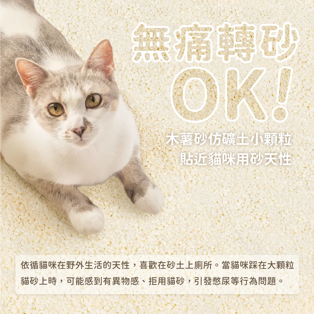 汪喵星球 益生菌消臭瞬凝木薯砂 2.4kg