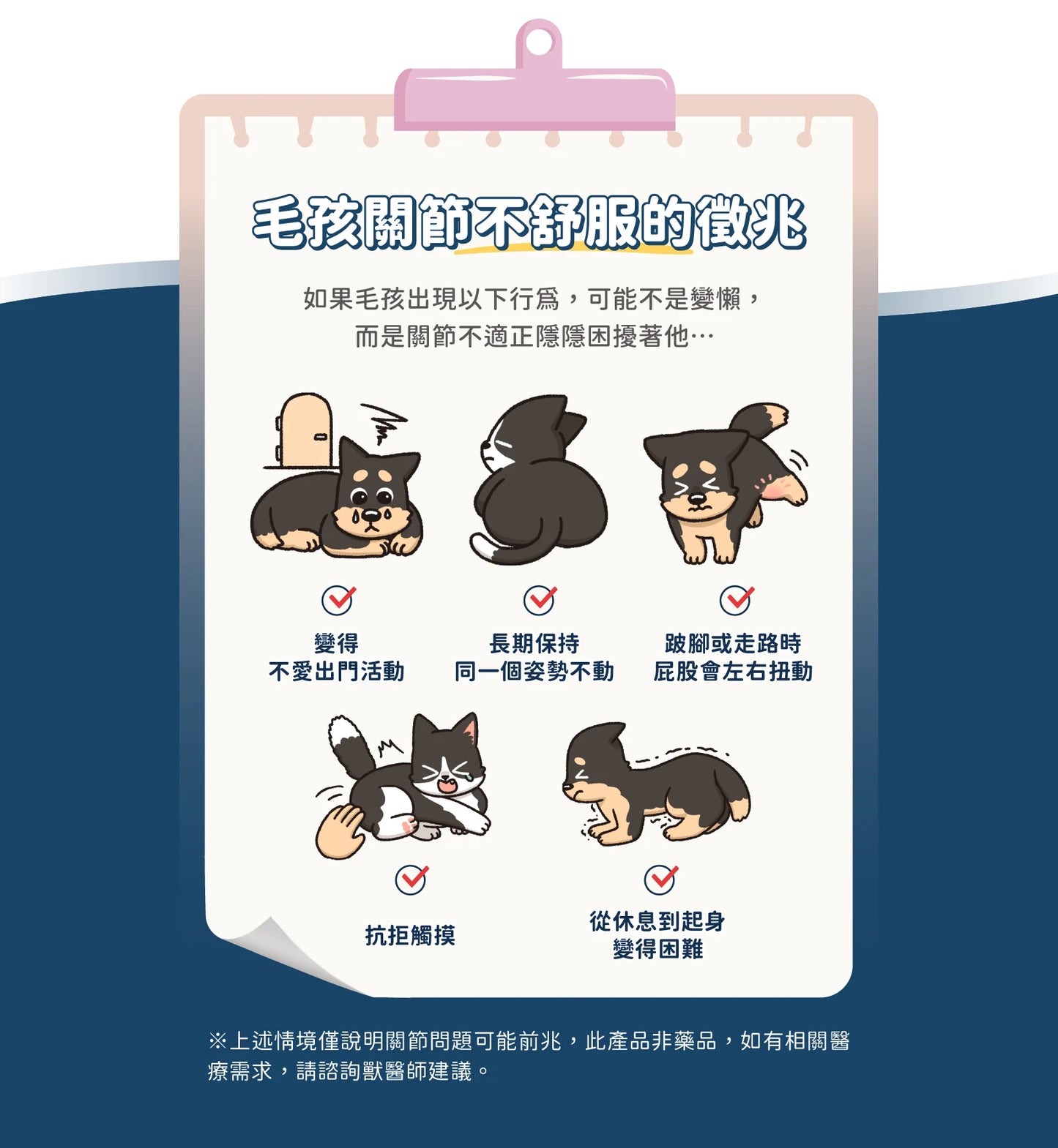 汪喵 UCII 關節保養粉 ( MSM 加強配方)