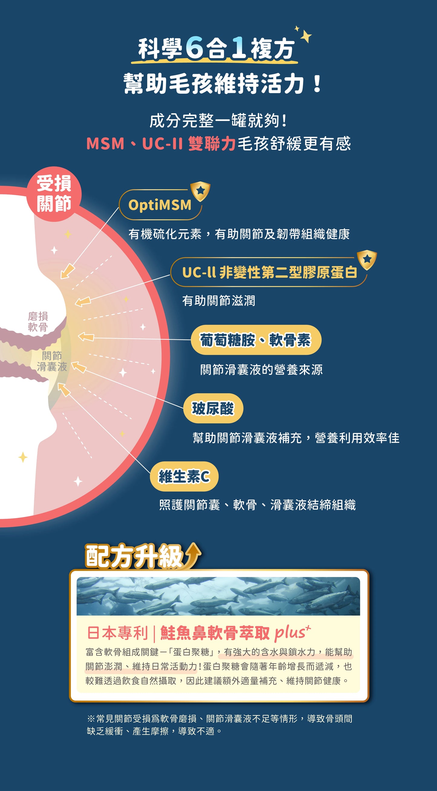 汪喵 UCII 關節保養粉 ( MSM 加強配方)