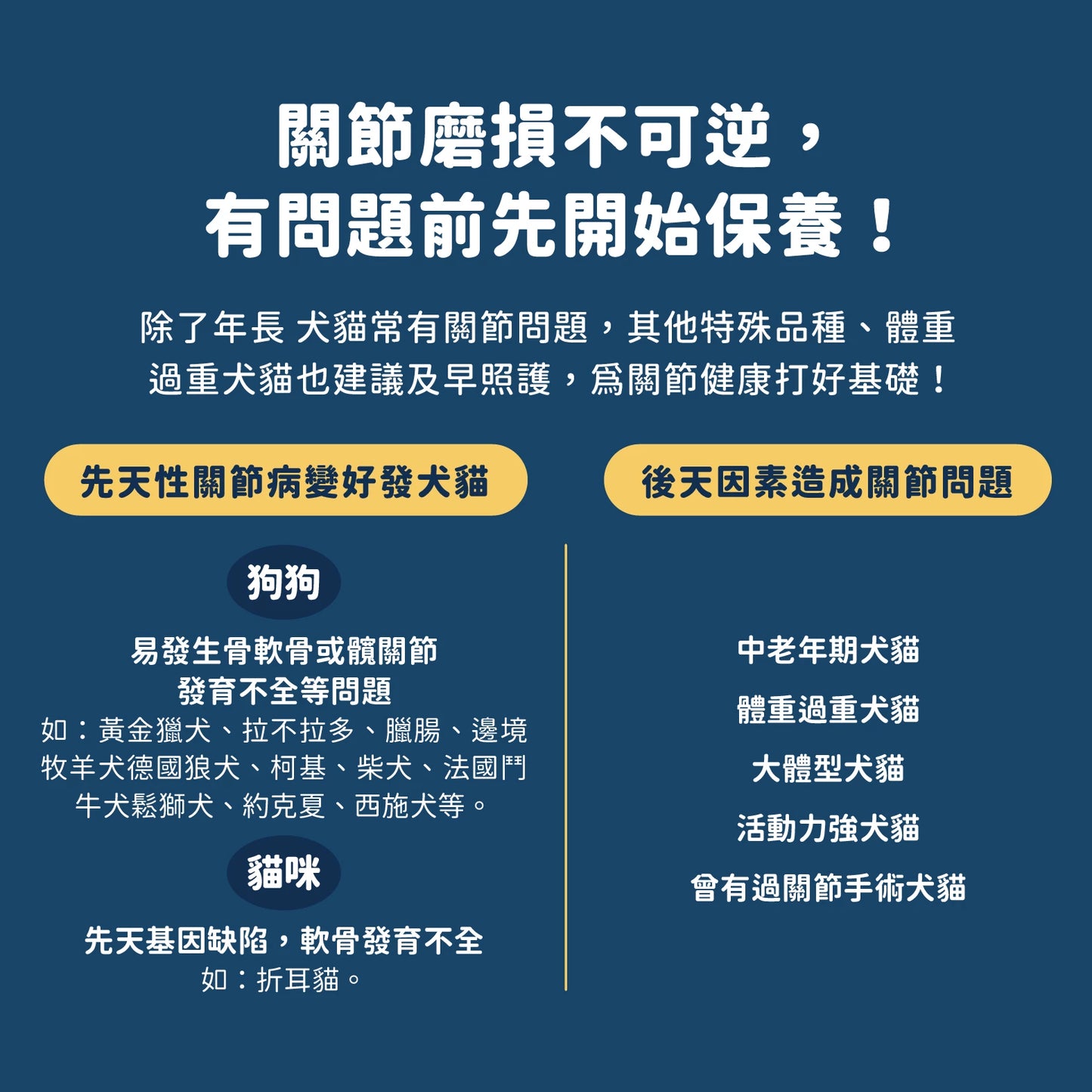 汪喵 UCII 關節保養粉 ( 日常保養配方 )