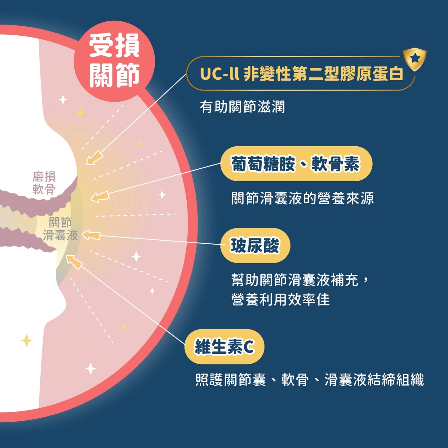 汪喵 UCII 關節保養粉 ( 日常保養配方 )