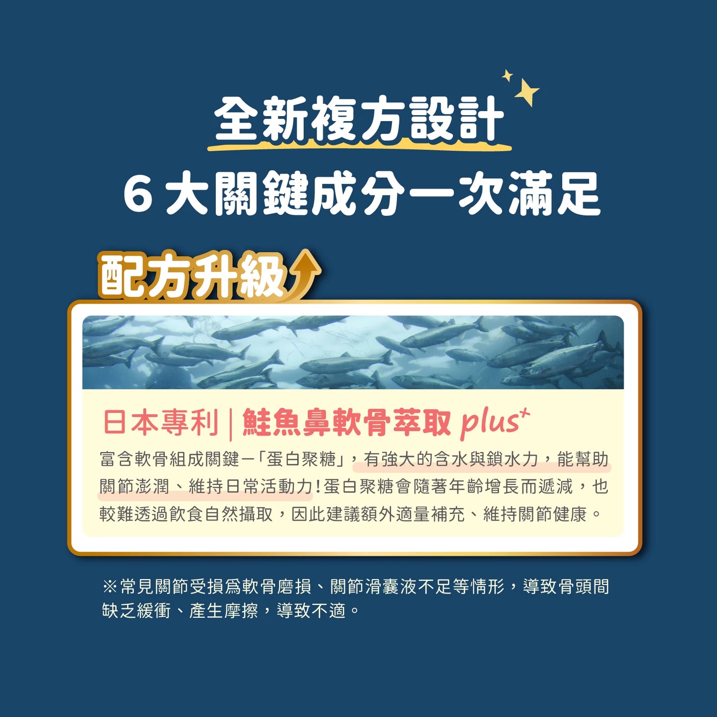 汪喵 UCII 關節保養粉 ( 日常保養配方 )