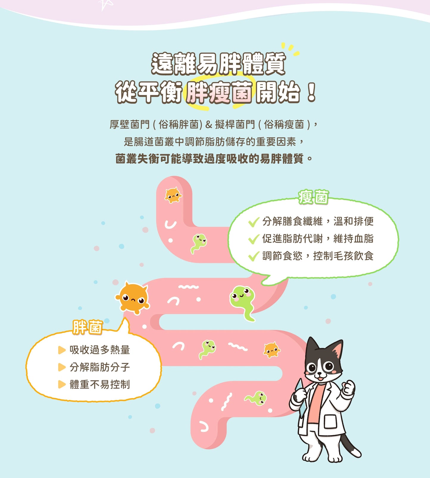 汪喵星球 體態管理益生菌