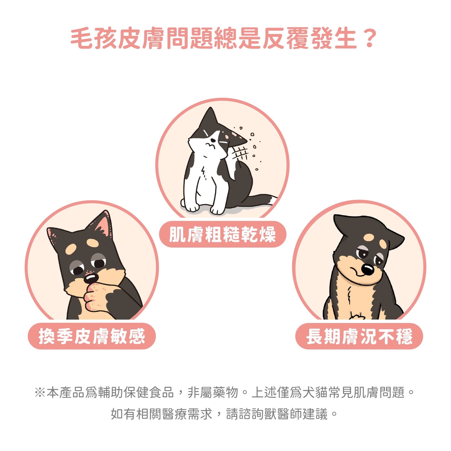 汪喵星球 皮膚益生菌