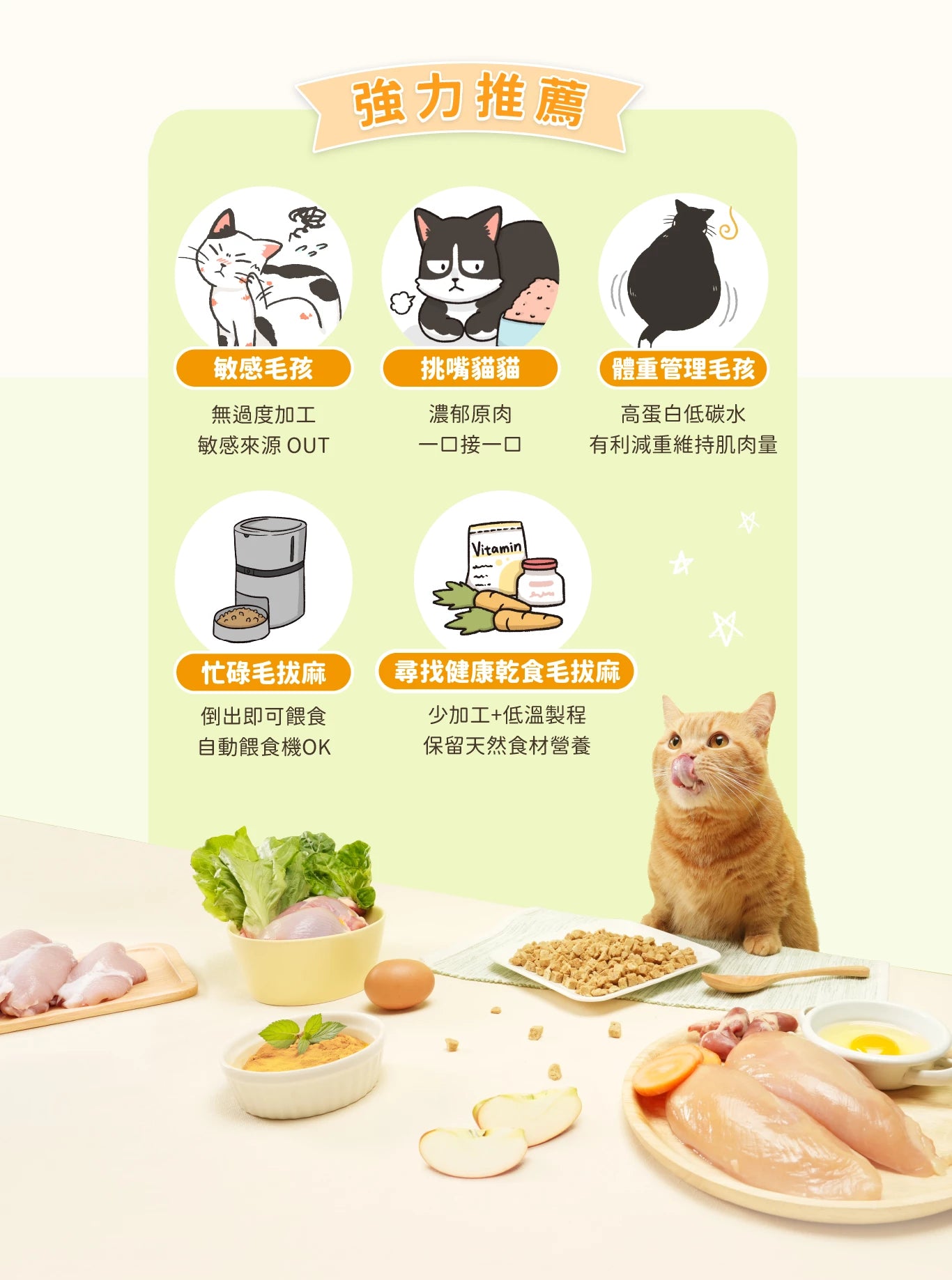 汪喵星球 貓咪 脫水生肉糧 (小方粒型)