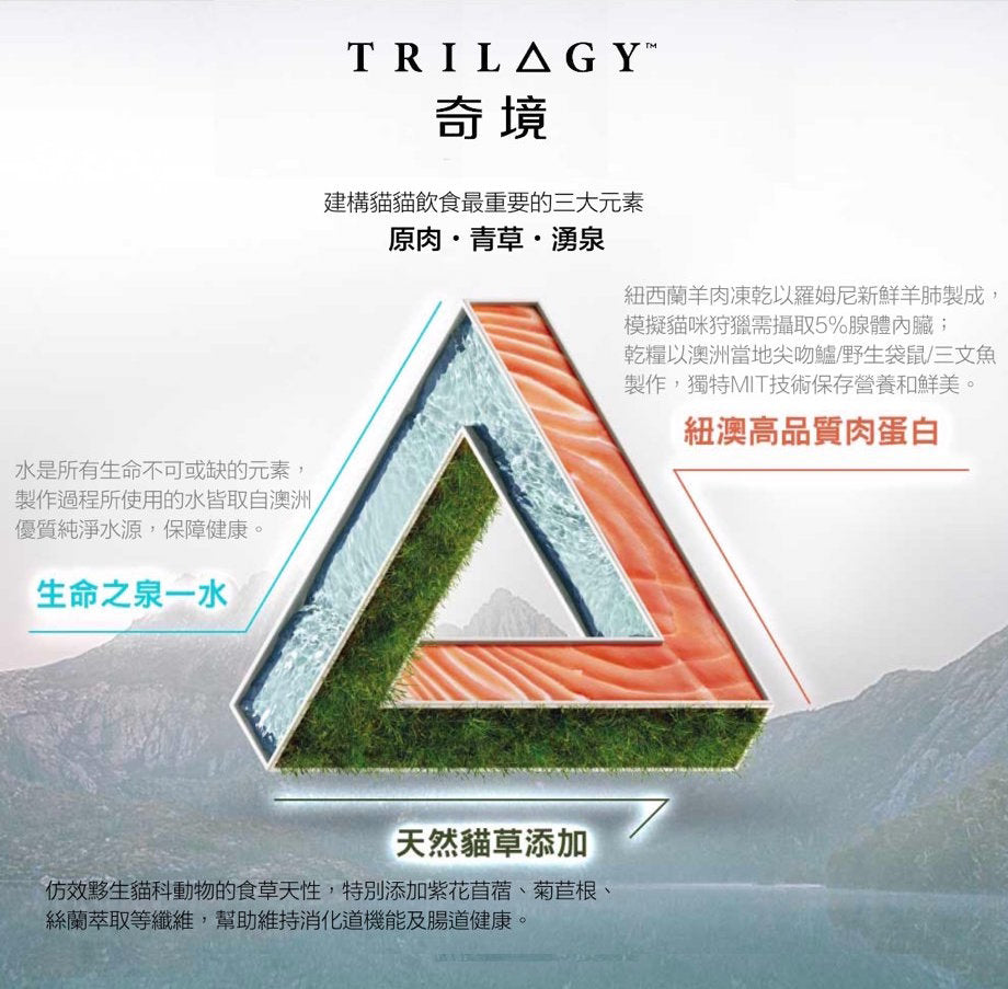 Trilogy 奇境
