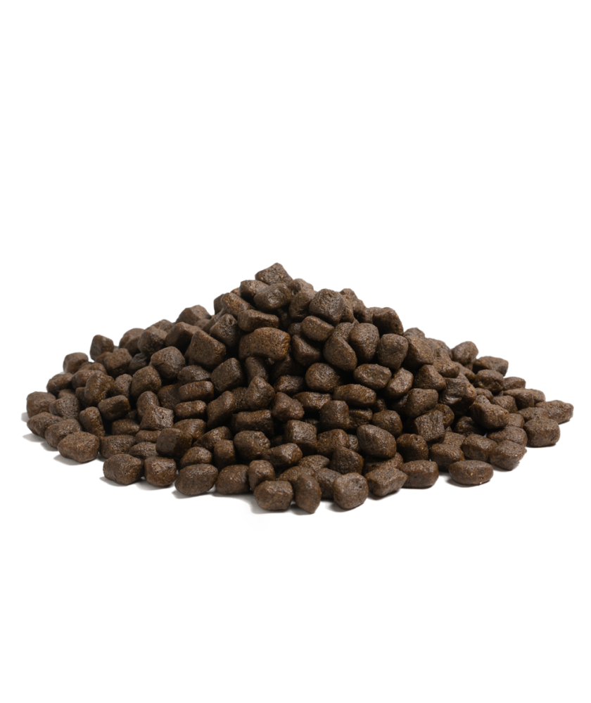 Essential foods 易膳狗糧 完美海洋生活 新鮮三文魚鱒魚無穀物全天然成年狗糧