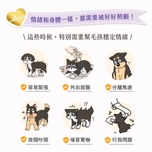 汪喵星球 情緒保健純肉泥 盒裝20包