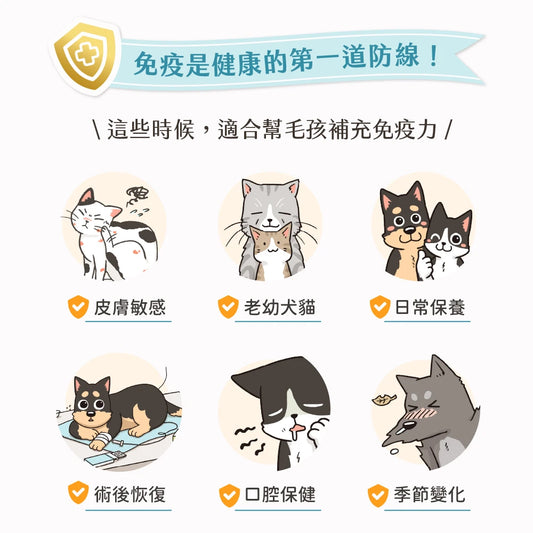 汪喵星球 免疫保健純肉泥 盒裝20包