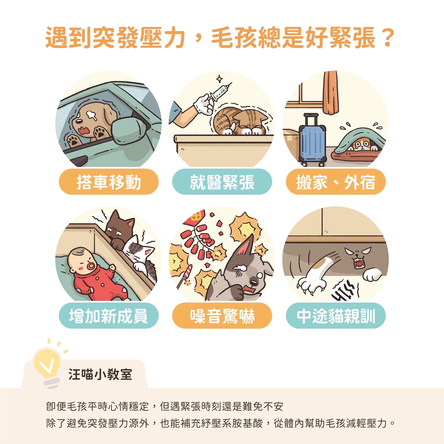 汪喵紓壓胺基酸