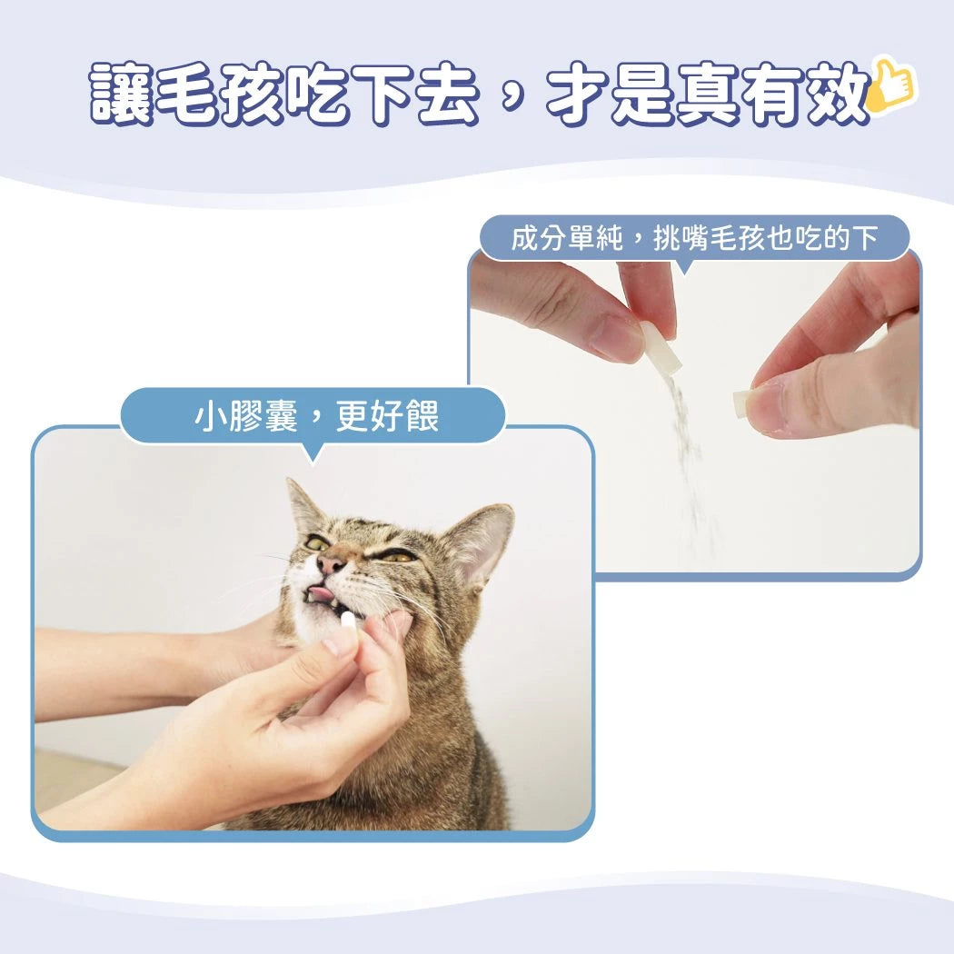 汪喵泌尿道健康保養粉 (升級版)